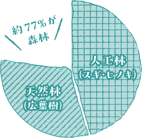和歌山県は約77％が森林で、その４割が広葉樹を中心とした豊かな天然林