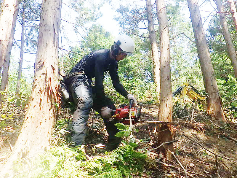 除伐・つる切り