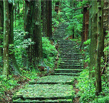 世界遺産、熊野の森林を守り、後世へ。