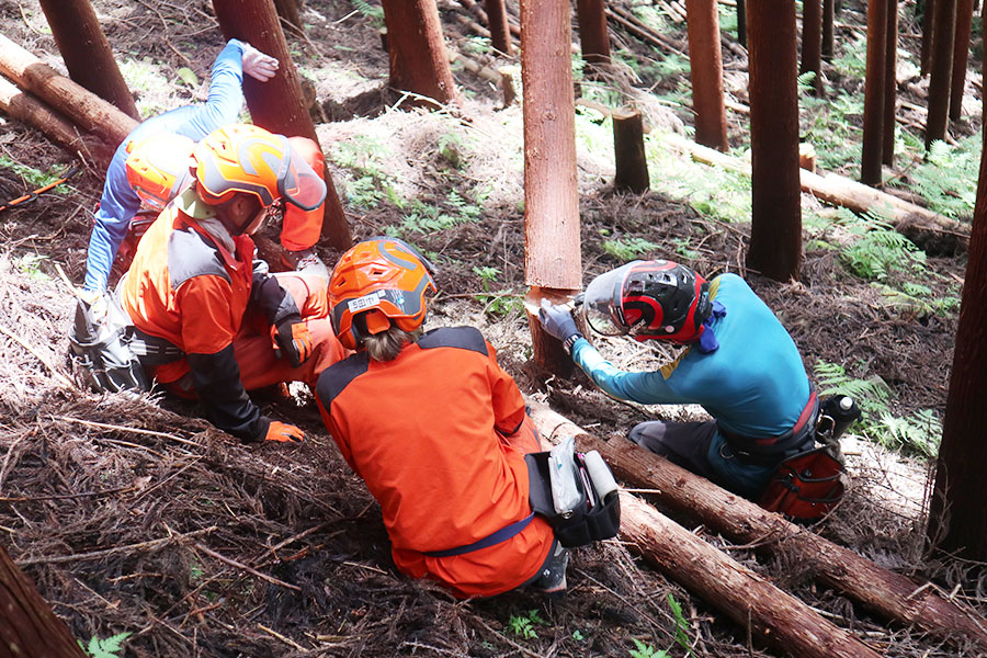 育林・造林技術